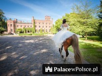 Galeria Zamek Jan III Sobieski