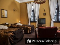 Galeria Pałac Baborówko