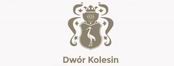 Dwór Kolesin