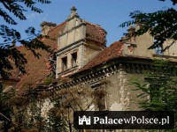 Galeria Pałac Dziewiń, gmina Ścinawa, woj. dolnośląskie