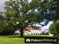 Galeria Dwór Kaliszki